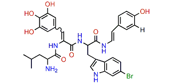 Celenamide C